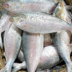১০ পিস মাছে ৫ কেজি